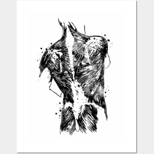 Human Back With Muscles Black and White Anatomy Gift Posters and Art